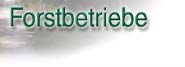 Machen Sie sich ein Bild von unseren Produkten und Dienstleistungen!