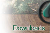 Downloads